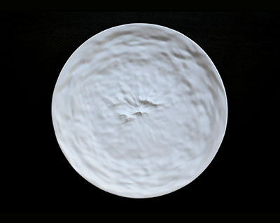 Copernicus plate, biskuit porcelain, L+S